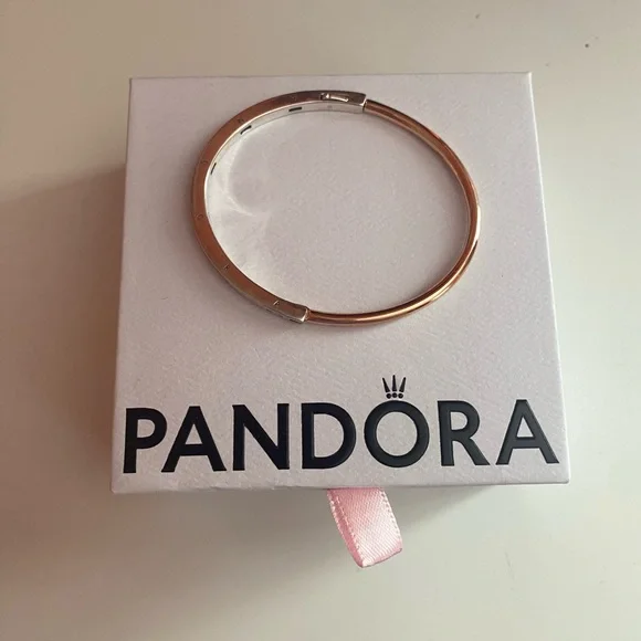 Pandora Rose Gold and Sterling Silver Bangle - Picture 2 of 7